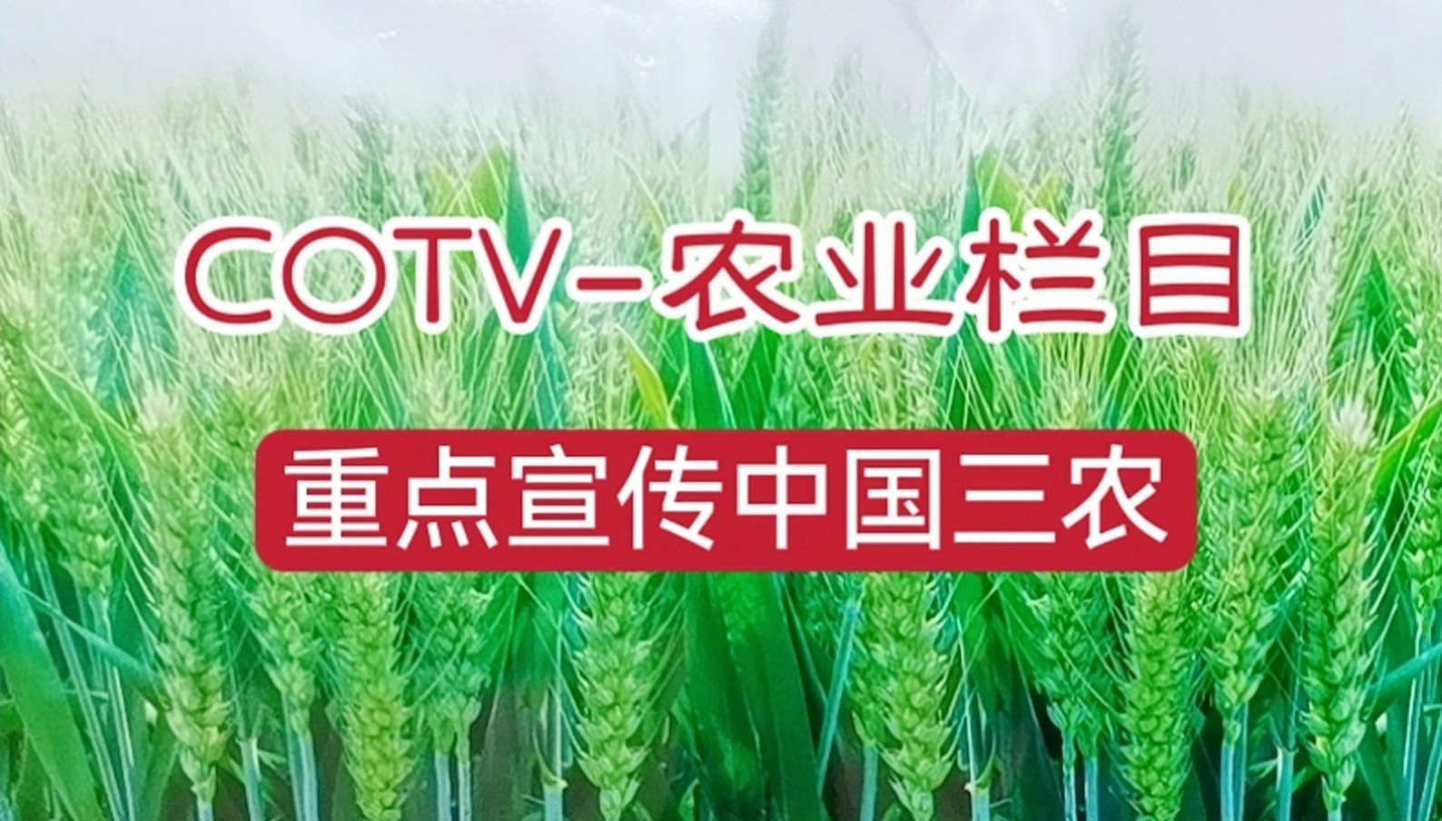 大号发布：2023年第十五届中国国际种业博览会暨第二十届全国种子信息交流与产品交易会于2023年09月23日-25日在合肥滨湖国际会展中心盛大开幕！COTV全球直播、中网市场、大号会展现场发布！
