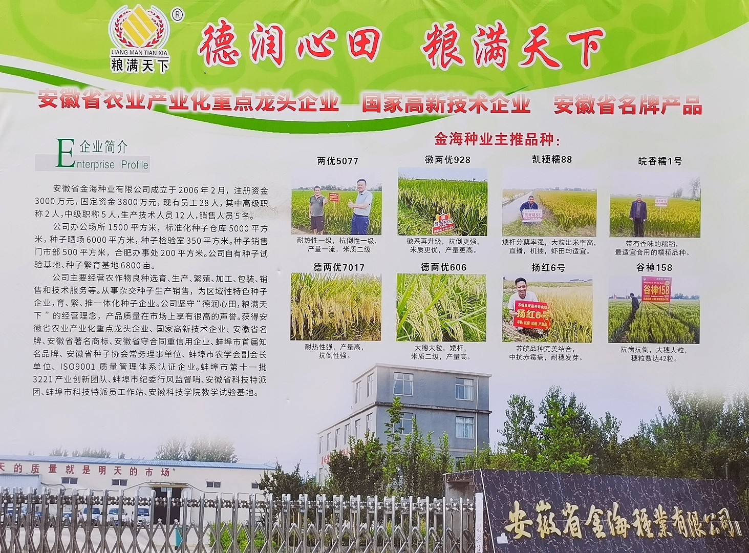 大号发布：2023年第十五届中国国际种业博览会暨第二十届全国种子信息交流与产品交易会于2023年09月23日-25日在合肥滨湖国际会展中心盛大开幕！COTV全球直播、中网市场、大号会展现场发布！