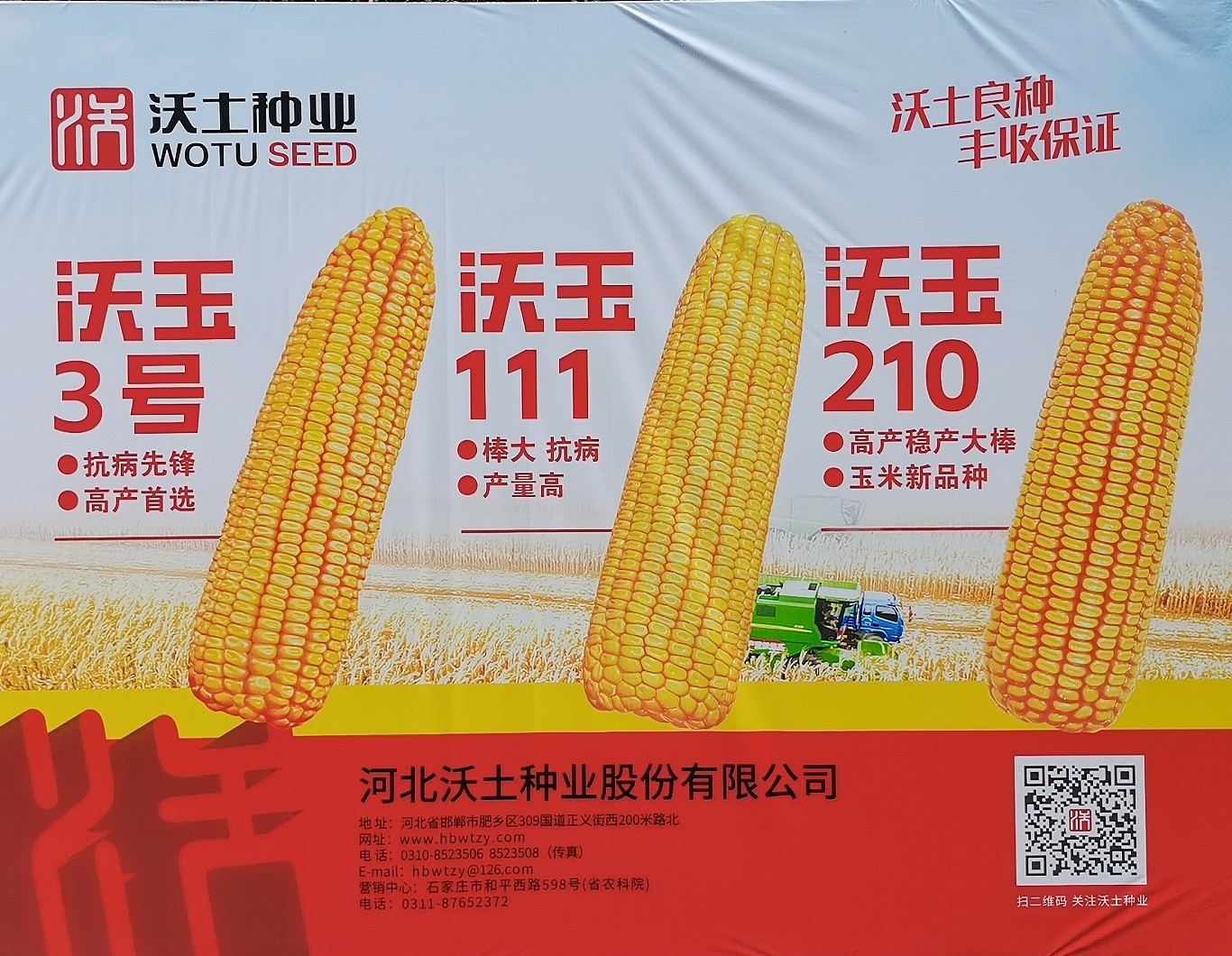 大号发布：2023年第十五届中国国际种业博览会暨第二十届全国种子信息交流与产品交易会于2023年09月23日-25日在合肥滨湖国际会展中心盛大开幕！COTV全球直播、中网市场、大号会展现场发布！