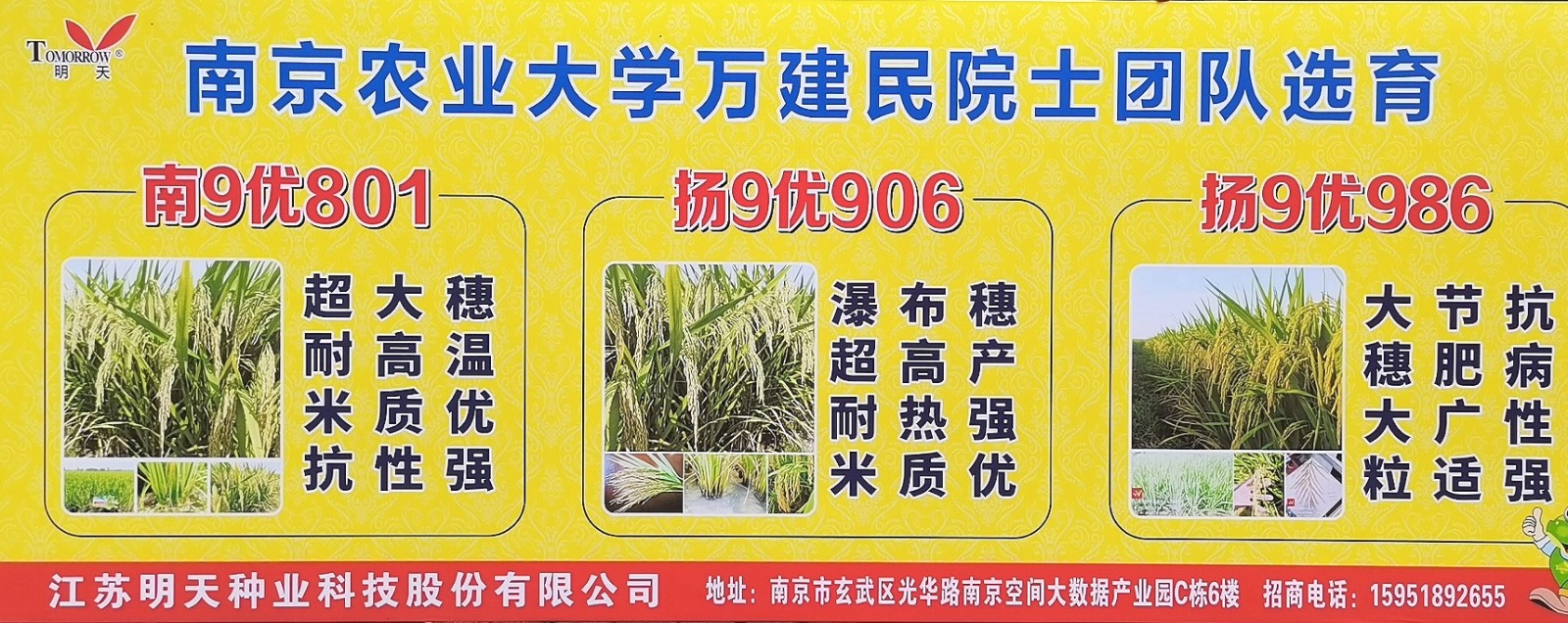 大号发布：2023年第十五届中国国际种业博览会暨第二十届全国种子信息交流与产品交易会于2023年09月23日-25日在合肥滨湖国际会展中心盛大开幕！COTV全球直播、中网市场、大号会展现场发布！
