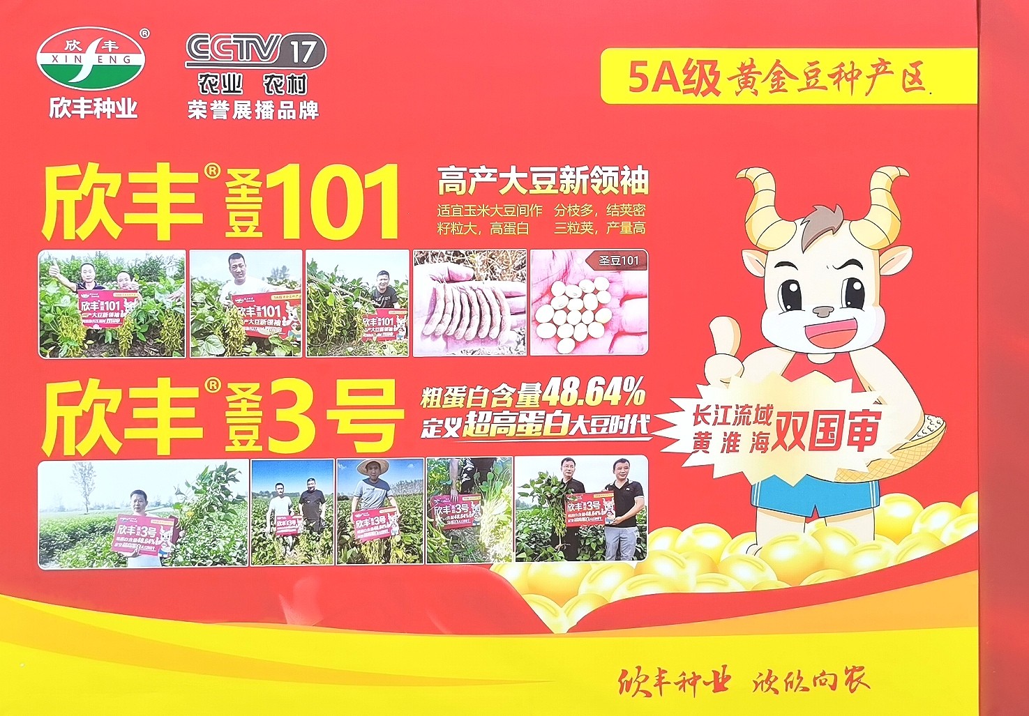 大号发布：2023年第十五届中国国际种业博览会暨第二十届全国种子信息交流与产品交易会于2023年09月23日-25日在合肥滨湖国际会展中心盛大开幕！COTV全球直播、中网市场、大号会展现场发布！