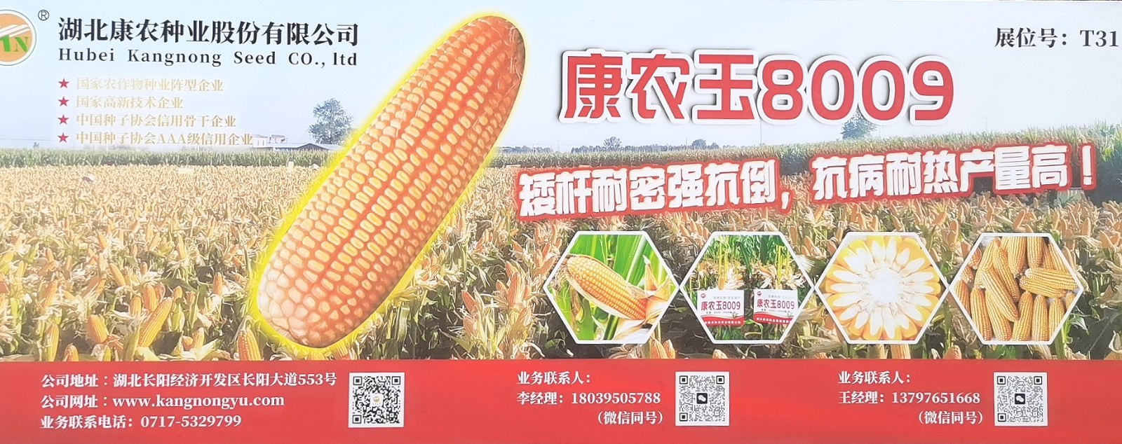 大号发布：2023年第十五届中国国际种业博览会暨第二十届全国种子信息交流与产品交易会于2023年09月23日-25日在合肥滨湖国际会展中心盛大开幕！COTV全球直播、中网市场、大号会展现场发布！