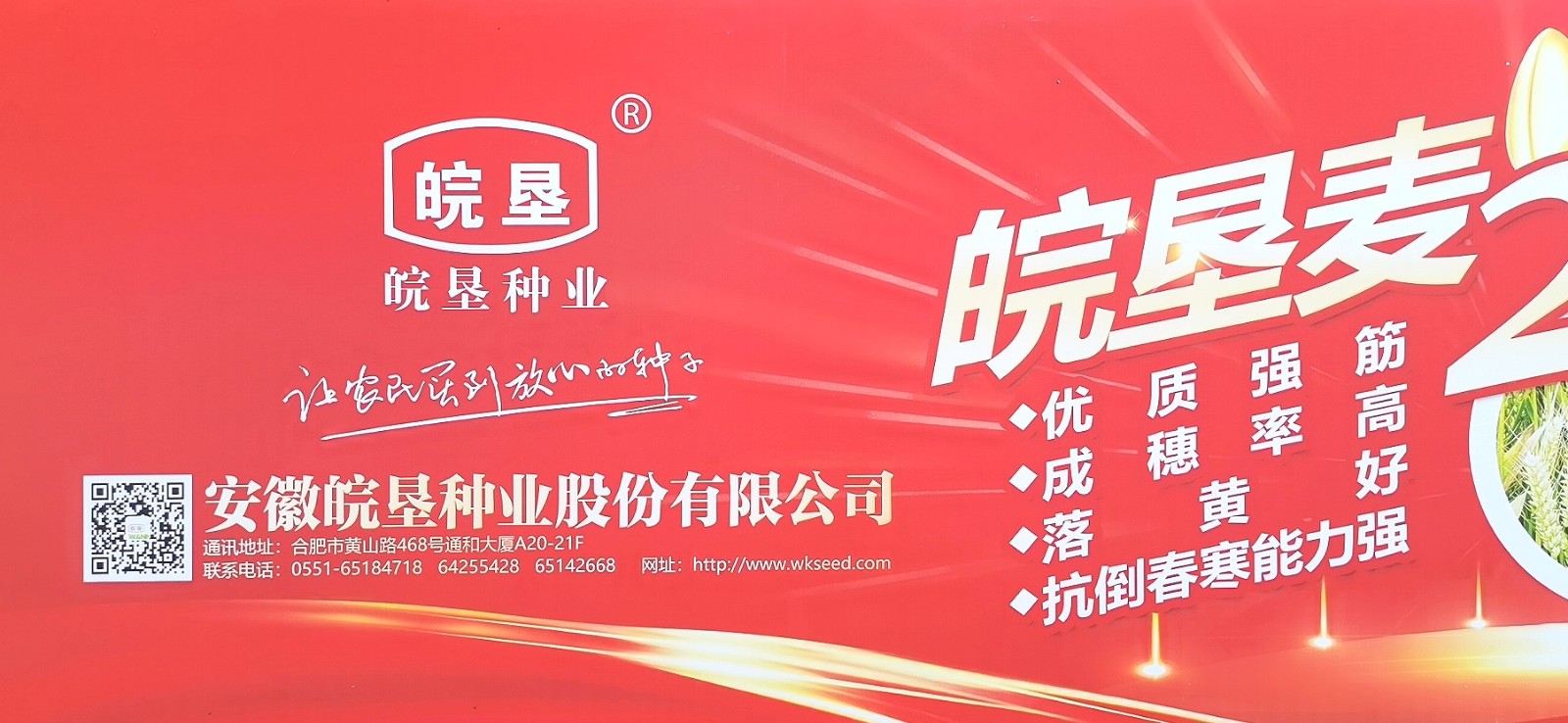 大号发布：2023年第十五届中国国际种业博览会暨第二十届全国种子信息交流与产品交易会于2023年09月23日-25日在合肥滨湖国际会展中心盛大开幕！COTV全球直播、中网市场、大号会展现场发布！