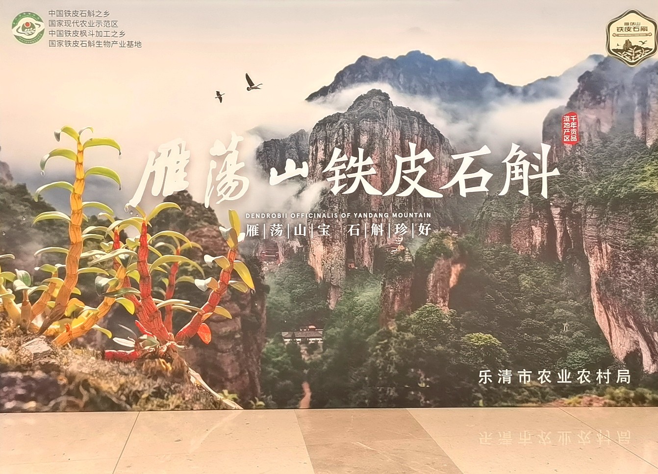 热烈祝贺2023浙江农业博览会于2023年12月07日-11日在中国·杭州国际博览中心盛大开幕！来自中外各地的三农企业及前来参展！COTV全球直播、中网市场、农牧食品网、大号商城、大号会展现场发布！
