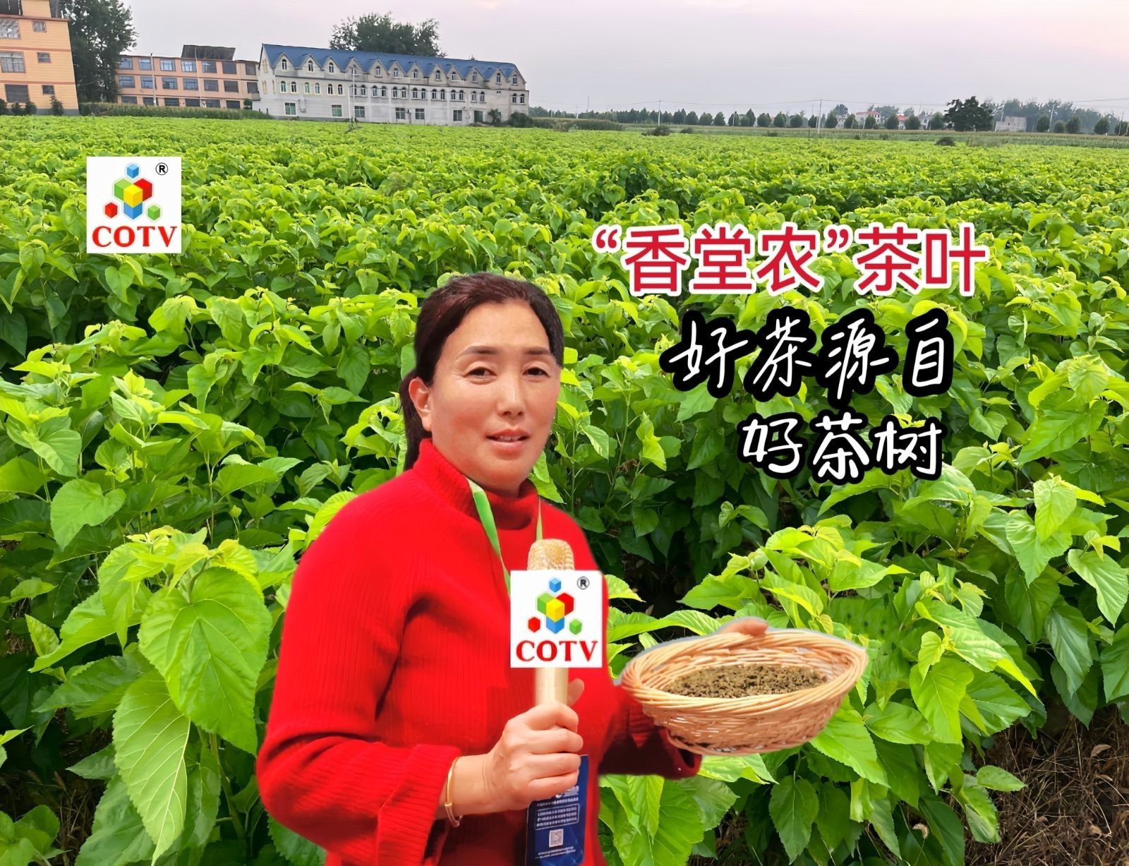 热烈祝贺2023中国深圳国际生态农业食材博览会暨江西绿色生态农产品（深圳）展销会于2023年12月16日-18日在深圳（福田）会展中心盛大开幕！COTV全球直播、中网市场、大号会展现场发布！