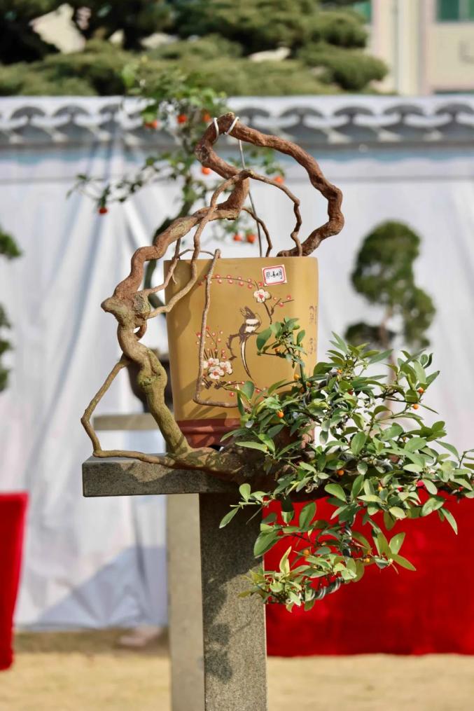 今起,这个展览免费开放,持续5天! 今起,这个展览免费开放,持续5天!