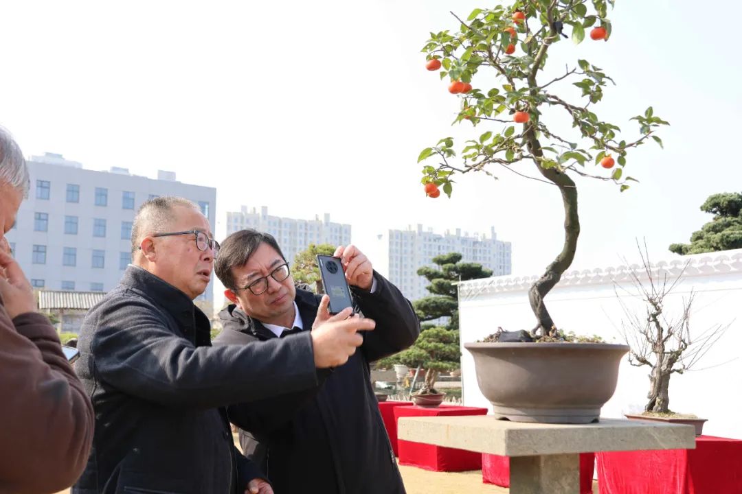 今起,这个展览免费开放,持续5天! 今起,这个展览免费开放,持续5天!