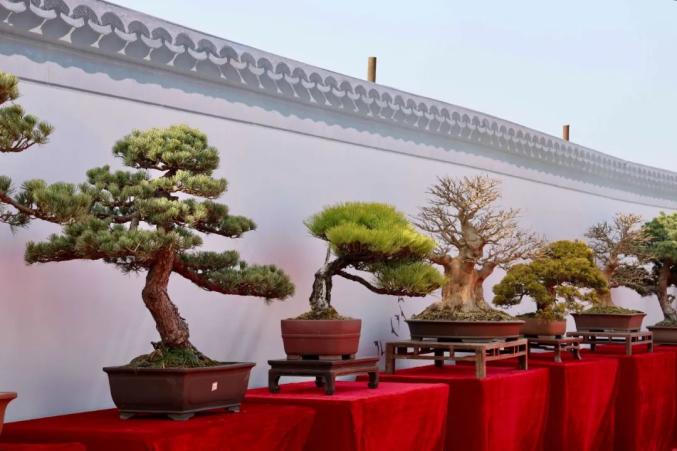 今起,这个展览免费开放,持续5天! 今起,这个展览免费开放,持续5天!