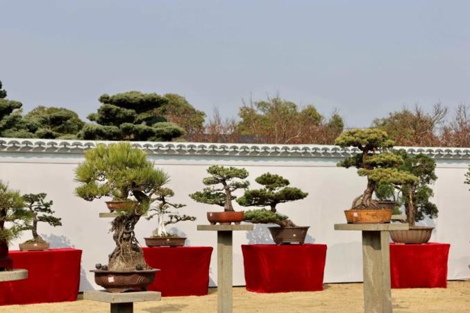 今起,这个展览免费开放,持续5天! 今起,这个展览免费开放,持续5天!