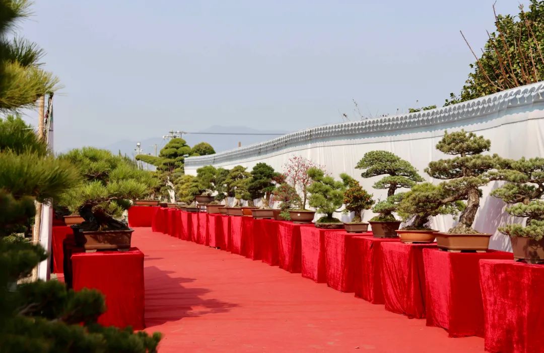 今起,这个展览免费开放,持续5天! 今起,这个展览免费开放,持续5天!