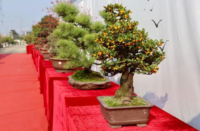 今起,这个展览免费开放,持续5天! 今起,这个展览免费开放,持续5天!