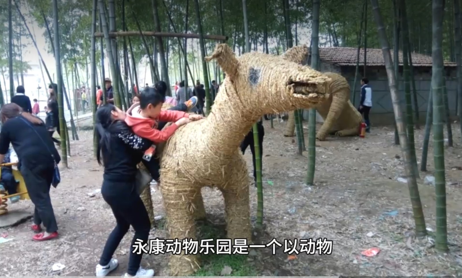 大号发布：2024第二届中国丘陵山区农业机械博览会暨中国（永康）国际农林装备博览会于2024年04月26日-28日在永康国际会展中心盛大开幕！COTV全球直播、中网市场、大号商城、大号会展现场发布！