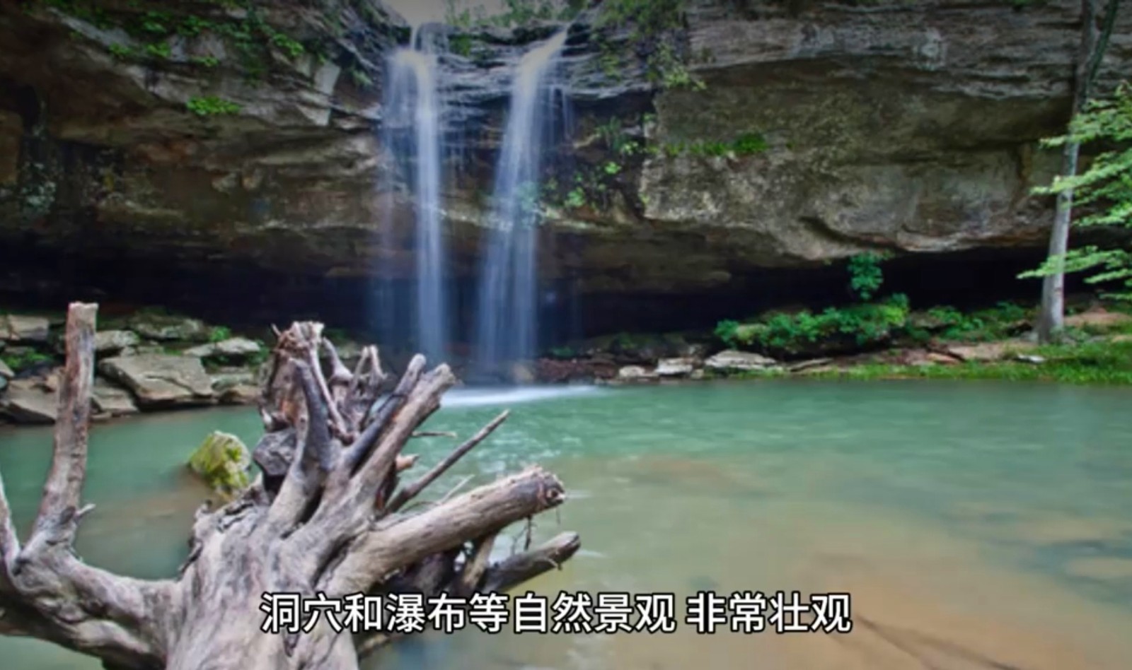 大号发布：2024第二届中国丘陵山区农业机械博览会暨中国（永康）国际农林装备博览会于2024年04月26日-28日在永康国际会展中心盛大开幕！COTV全球直播、中网市场、大号商城、大号会展现场发布！