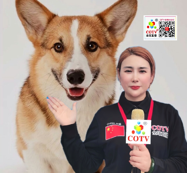 大号发布：2024中国·杭州第二届浙江国际宠物展览会于2024年07月12日-14日在杭州大会展中心盛大开幕！COTV全球直播、大号商城、中网市场、大号会展现场发布！