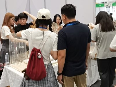 2027第15届中国深圳国际电子信息产业博览会