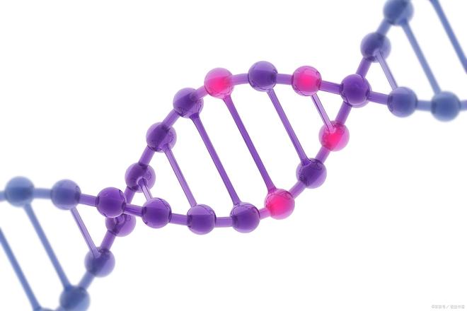 2026合成生物展|2026北京国际合成生物展览会