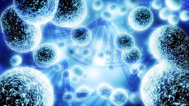 2026细胞生物展|2026北京国际细胞生物与基因治疗展览会