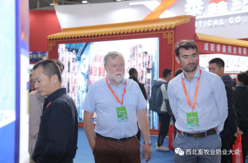 Meet at the 6th Xinjiang International Livestock Expo in 2026 - www.globalomp.com