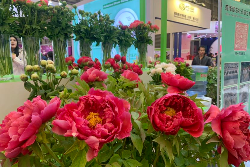 Welcome to the 2027 Guangzhou International Flower Exhibition - www.globalomp.com