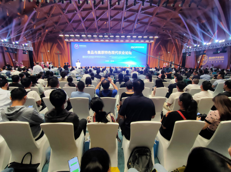 运动器材|2027杭州国际体育健身器材展览会