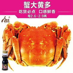 阳澄湖今旺大闸蟹现货2.6-2.9两8只礼盒装鲜活螃蟹
