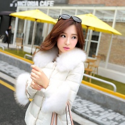 冬季新款 韩版娃娃领大毛领时尚短款羽绒服女 棉衣