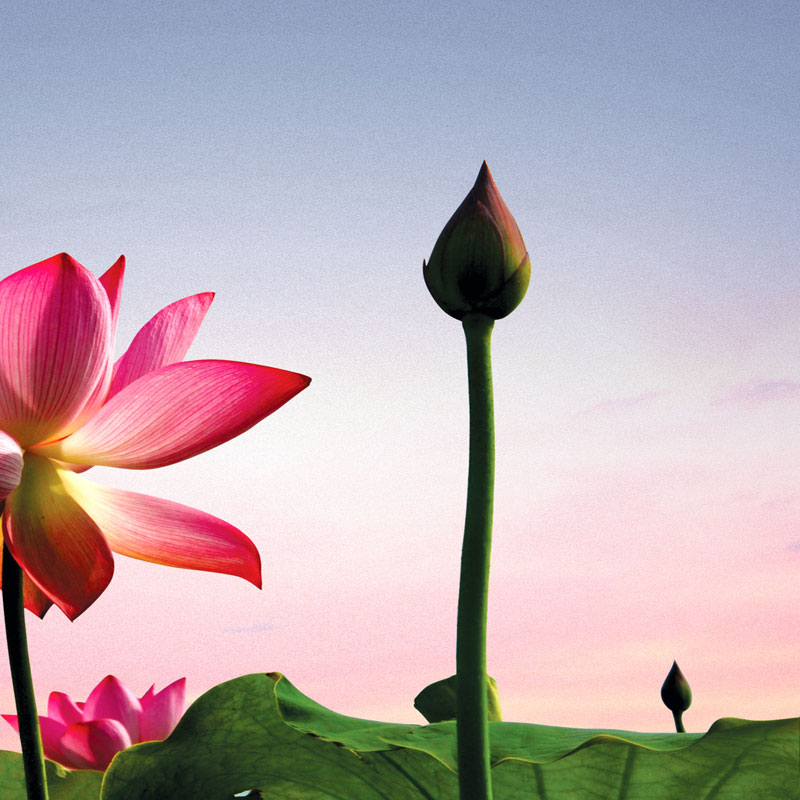 暂告安全在线观看，最新剧情实时更新，高清画质流畅播放，精彩片段抢先看尽。