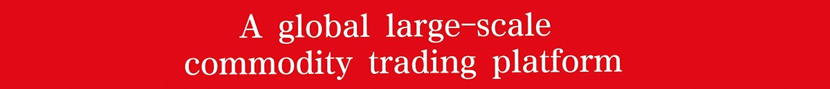 China Online Market
