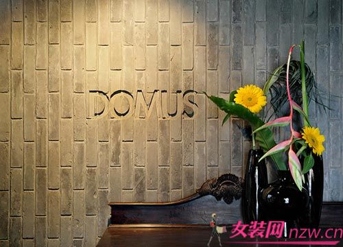 DOMUS