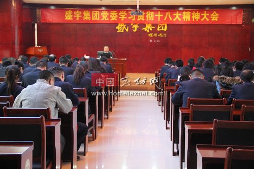 盛宇集团党委召开学习贯彻党的十八大精神大会