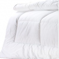 蚕丝被(皇家御用)