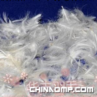 优质水洗羽绒 羽绒 白鸭绒 含绒量30% 国标