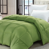 优质羽绒被 详见图