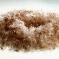 各种规格水洗毛片，沙发填充料