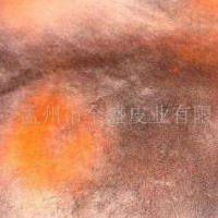 供应羊剪绒服装皮(图)