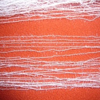 供应锦纶亮片蜈蚣纱