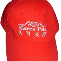 供应温州飞月2010新款热销时尚动休闲广告帽（图）