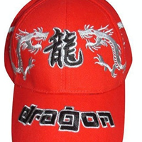 供应温州飞月2010新款热销时尚动休闲帽子（图）