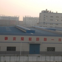 供应涤纶加弹特殊产品