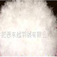 供应羽毛羽绒,80鸭绒，灰白鸭绒，漂白鸭绒，90羽