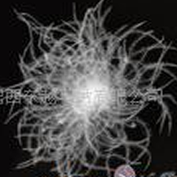 供应做羽绒服、羽绒被的各个规格水洗羽绒，鸭绒