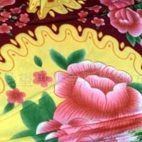 供应印花双面绒毛毯(图)
