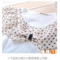 人气批发女装2010新款春装上市韩国雪纺领短袖T恤 