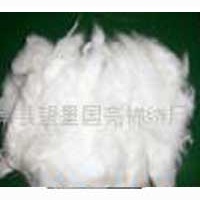 供应特白含棉99棉-----再生棉花
