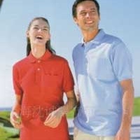 供应T恤 翻领T恤 女式休闲收腰T恤