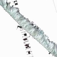 供应羽毛纱，半边绒、松树纱、蜈蚣纱