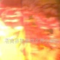 供应精美提花双面绒毛毯(图)