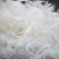 供应水洗羽绒，灰白鸭绒，鹅绒