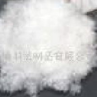 供应新国标羽绒