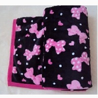 供应摇粒绒毛毯 